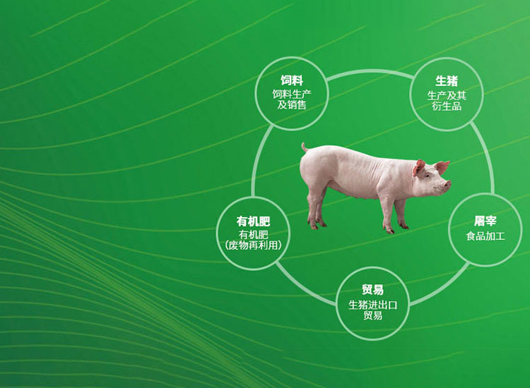 hth体育官网